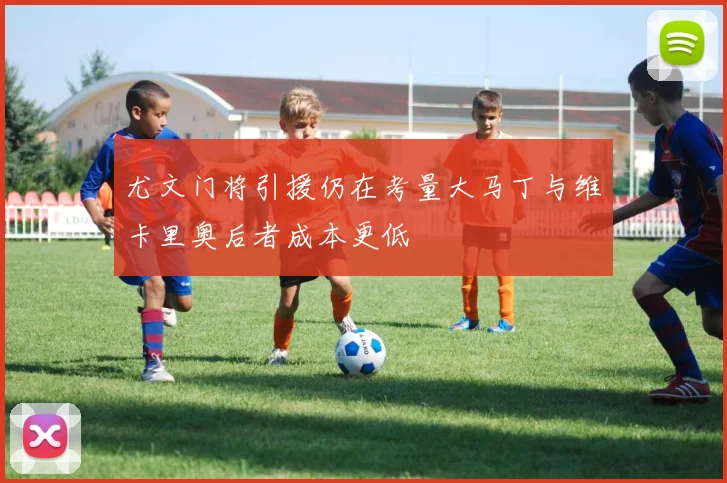 尤文门将引援仍在考量大马丁与维卡里奥后者成本更低